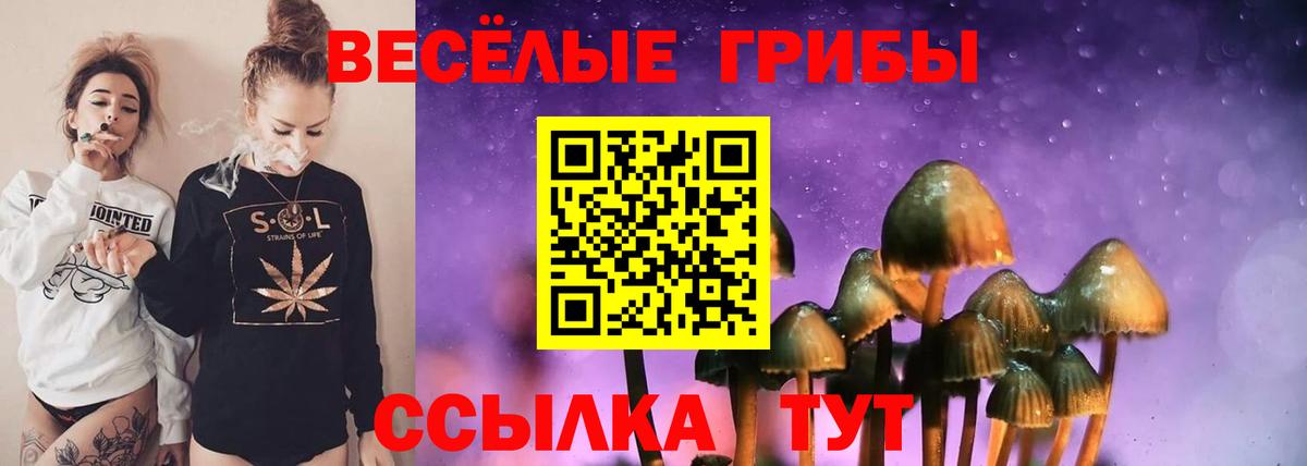 Галлюциногенные грибы Psilocybe Донской
